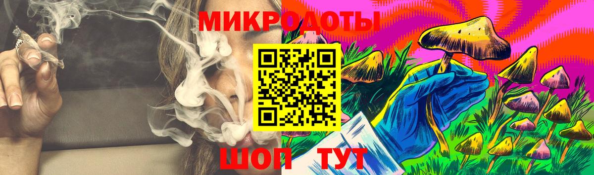 Псилоцибиновые грибы Psilocybine cubensis Урус-Мартан